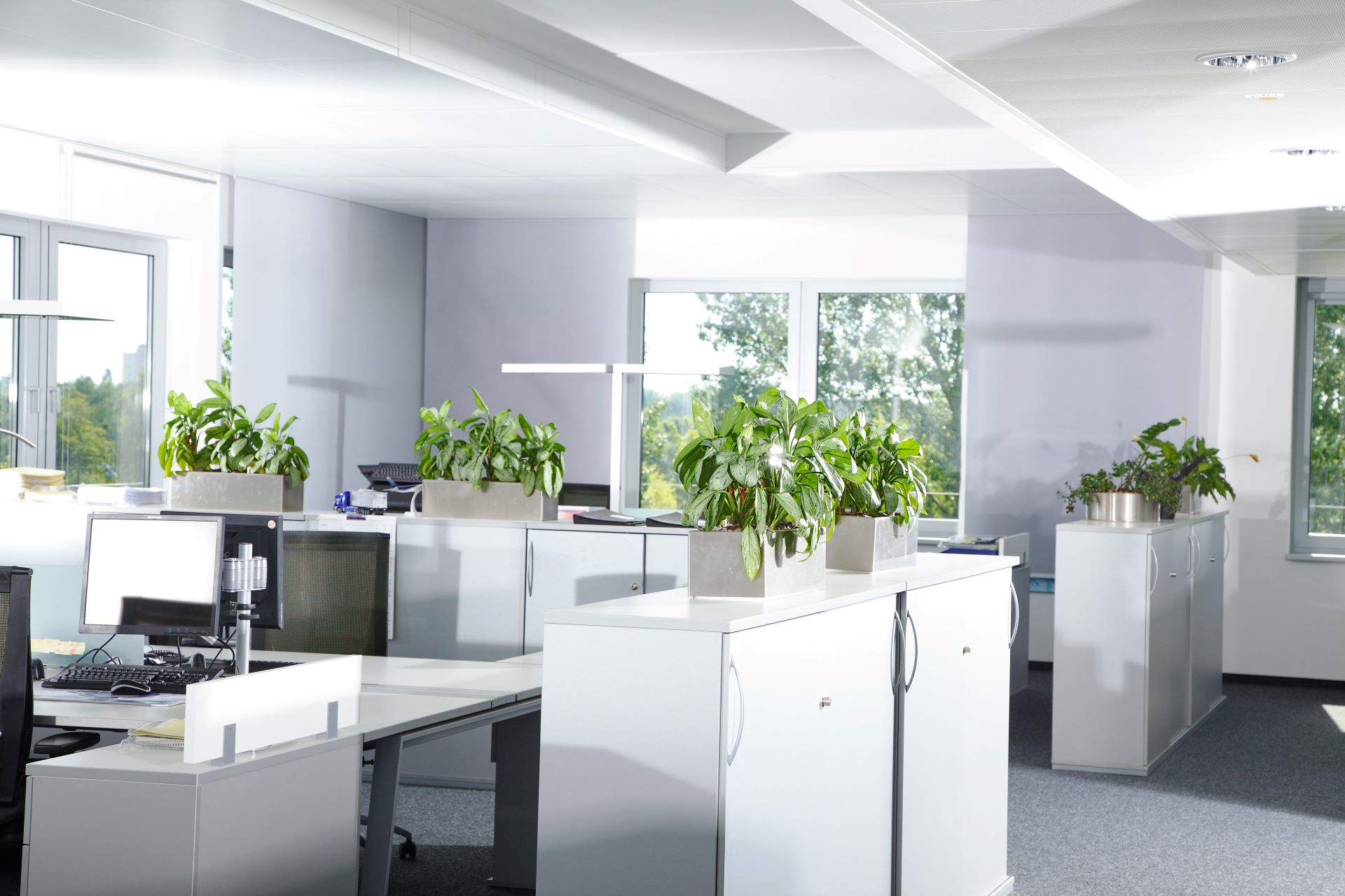 Resume Writing Services Mapleton QLD